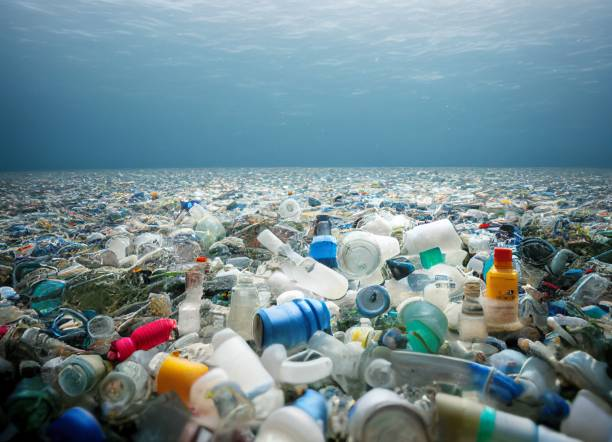 プラスチックによる環境問題